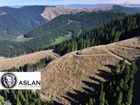 land for sale new - 1