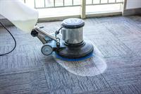 33151 reputable carpet cleaning - 3
