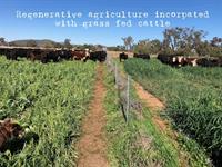 investment opportunity organic farmer-foods - 2