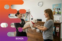 37281 profitable dog grooming - 2