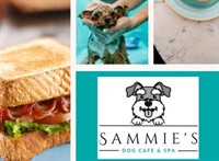 dog cafe spa moonee - 1