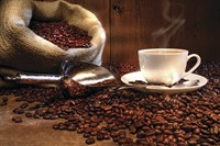 coffee works mareeba far - 2