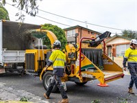 vegetation maintenance municipal contractor - 2