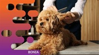 36834 dog grooming daycare - 3
