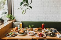 thriving cafe by day - 1