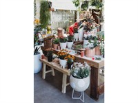 boutique plant garden nursery - 1