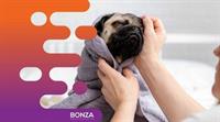 35061 thriving dog grooming - 2