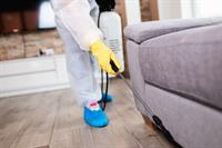 34416 mobile carpet cleaning - 2