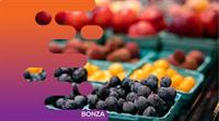 36280 reputable retail wholesale - 3