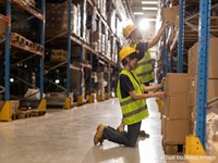 major wholesaler distribution business - 1