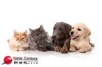5 days pet grooming - 1