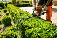 34241 landscaping garden maintenance - 2