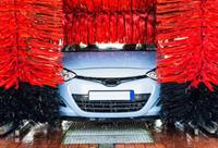 car dog wash kyneton - 3