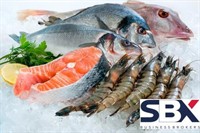 takeaway seafood seafood takeaway - 1