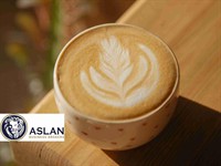 cafe coffee shop - 2