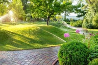 long-established lawn garden business - 1