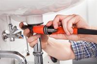 34518 thriving plumbing maintenance - 2