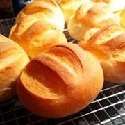 bakery very good family - 1