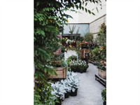 boutique plant giftware store - 1