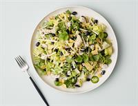 high-performing multi-site health food - 1