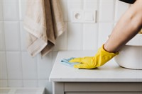 franchisor professional home cleaning - 1