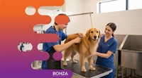 36379 dog day-care grooming - 3