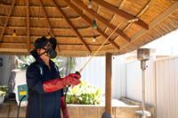 sure pest control franchises - 3