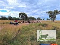 investment opportunity ethical organic - 3