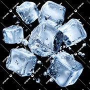ice processing distribution business - 3