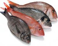 fresh fish shop mentone - 1
