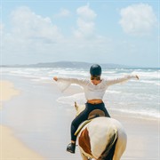 iconic noosa tourism business - 1