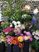 florist giftware hamper business - 2