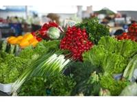 wholesale fruit veg business - 1
