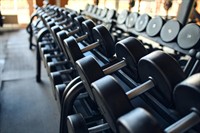 established darwin gym fitness - 1