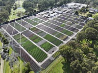 established wholesale production nursery - 2