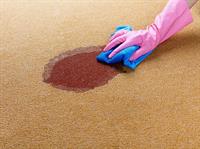 carpet cleaning commercial domestic - 3