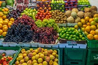 fruit veg + grocery - 1