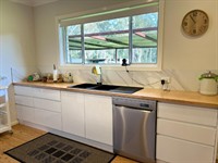 established cleaning business lake - 2