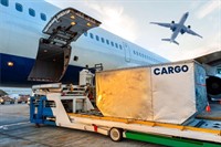 strategic freight forwarding customs - 2