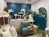 established furniture homewares business - 3