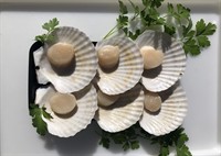 established mobile seafood retail - 2