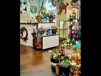 florist gardens - 3