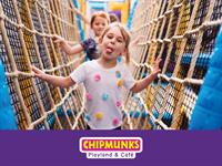 chipmunks indoor playground franchise - 1