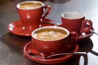 dromana cafe great improver - 1