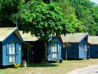 freehold tropical rainforest coastal - 1