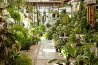 fitzroy nursery iconic cbd - 1