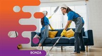 36177 thriving cleaning business - 3