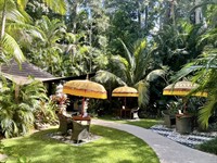iconic wellness day retreat - 2