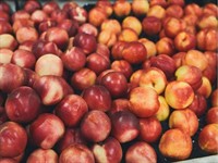 profitable fruit veg shop - 3