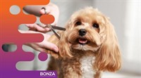 37007 mobile pet grooming - 3